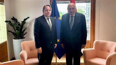 شكرى‎ يبحث مع مسؤول أوروبى تفعيل الشراكة الاستراتيجية ومستجدات الحرب بغزة
