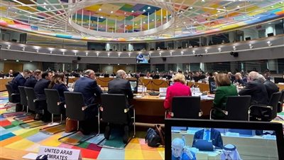 شكري يدعو إلى ضرورة تضافر التحركات العربية والأوروبية للوقف الفوري للحرب الإسرائيلية على غزة