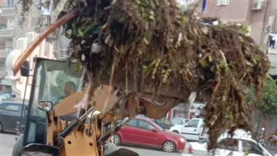 رفع ناتج ورد النيل من ترعة السويس حفاظاً علي نظافة مياه الشرب