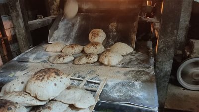لتحقيق أرباح غير مشروعة.. حملات تموينية مكثفة لضبط الأسواق ومنع التلاعب بأسعار الخبز الحر