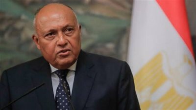 وزير الخارجية يؤكد لنظيره الأمريكي دعم كل جهد يستهدف إنهاء الحرب ضد غزة