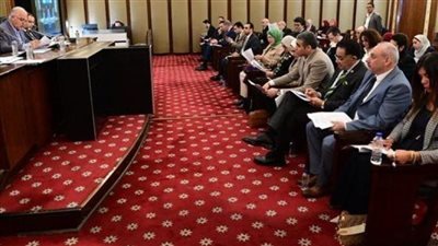 طاقة النواب تناقش أسباب اندثار سوق الطاقة الجديدة بالمشروعات الصغيرة