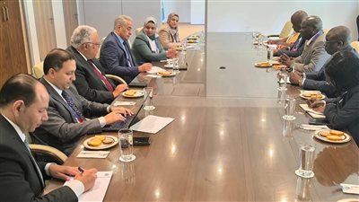 وزير العمل يلتقى نظيرة الزيمبابوي لبحث الملفات المشتركة 