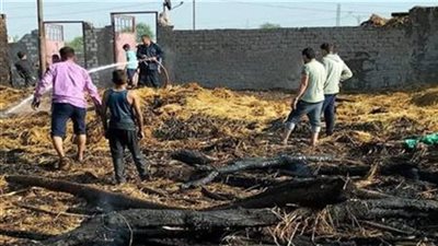 نفوق 40 رأس ماشية.. كشف ملابسات حريق حظيرتي مواشي بالفيوم