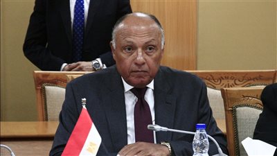 وزير الخارجية: مصر لديها رصيد كبير من العلاقات التاريخية مع دول القارة