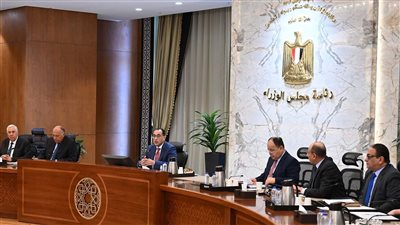 رئيس الوزراء يترأس اجتماع اللجنة المعنية بتعزيز العلاقات المصرية الأفريقية