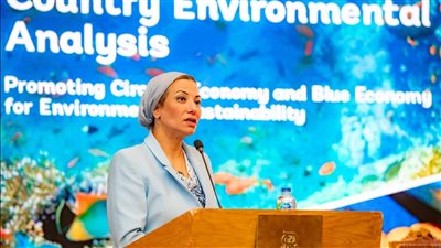 وزيرة البيئة تفتتح ورشة عمل اطلاق نتائج تقرير تحليل البيئة القطري فى مصر 