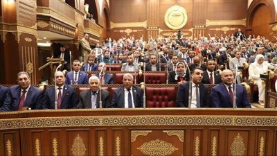 الشيوخ يوافق على دراسة الشباب والذكاء الاصطناعى ويحيلها لرئيس الجمهورية