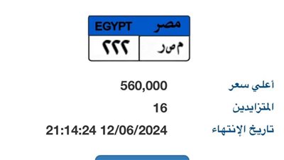 16 شخصا يزايدون على لوحة 