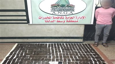 بأكثر من 1,9مليون جنيه..  ضبط عنصر إجرامى وبحوزته 24 كيلو جرام حشيش