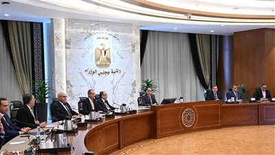 رئيس الوزراء يتابع جهود توطين صناعة الرقائق الإلكترونية وأشباه الموصلات