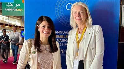 “المشاط” تبحث التعاون المشترك مع الجانب البريطاني في تنفيذ برنامج تمويل سياسات التنمية 