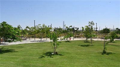 ‫ وزير الإسكان: زرعنا حتى الآن أكثر من 46 ألف شجرة ونخلة مثمرة وغير مثمرة 