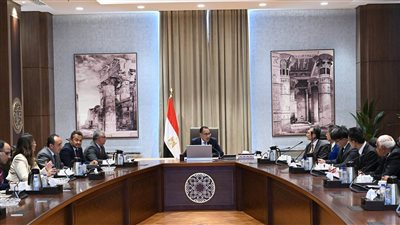 رئيس الوزراء يلتقي رئيس شركة 