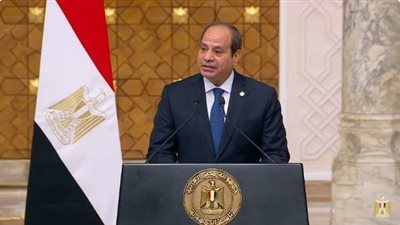 الرئيس السيسى يوجه الحكومة بإنهاء أزمة انقطاع الكهرباء فى أقرب وقت