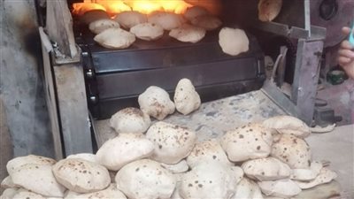 ضبط 13 طن دقيق.. حملات تموينية مكثفة لضبط التلاعب بأسعار الخبز الحر