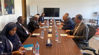 وزيرا خارجية مصر والصومال: تدشين خط طيران مباشر بين البلدين يوليو المقبل