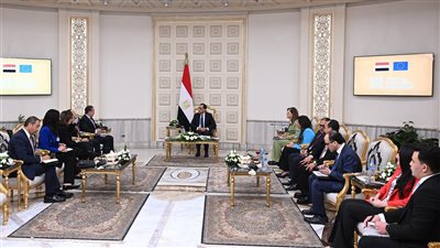 رئيس الوزراء يلتقي الرئيس التنفيذي لشركة 