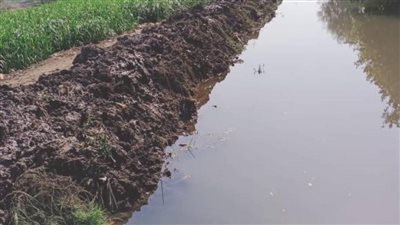 كشف ملابسات تعدي شخص على مجرى مائي بقرية في الغربية