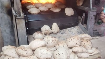 ضبط 6 طن دقيق.. حملات تموينية مكثفة لضبط التلاعب بأسعار الخبز الحر