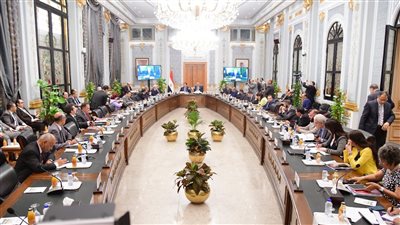 وزير العمل يُلقى بيان 