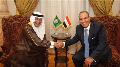 وزير الخارجية والهجرة وشئون المصريين بالخارج يستقبل أمين عام مجلس التعاون الخليجى