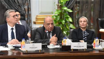 الدكتور محمود عصمت يعرض برنامج عمل وزارة الكهرباء لتحسين جودة الخدمة 