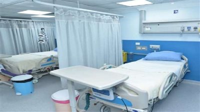 محافظ سوهاج يتنمر على طبيبة.. ورئيس الحكومة يعتذر (القصة كاملة)