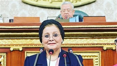 مجلس النواب يوافق على استقالة النائبة عبلة الألفى بعد تعيينها نائبا لوزير الصحة
