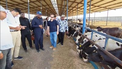 الزراعه : 10 سفراء أفارقة تجمع «السادك SADC» يتفقدون محطات التصدير بالطريق الصحراوى