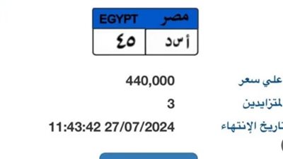 مزاد على لوحة سيارة 