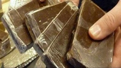 بحوالى 5,5 مليون جنيه.. ضبط إثنين من العناصر الإجرامية بتهمة الإتجار بالمواد المخدرة 