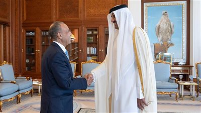 أمير دولة قطر يستقبل وزير الخارجية والهجرة 