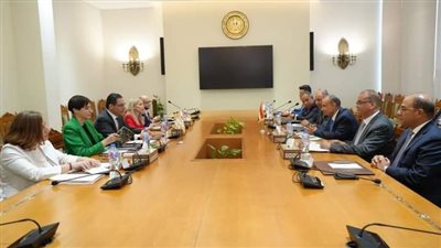 وزير الخارجية والهجرة وشئون المصريين بالخارج يجرى مشاورات سياسية مع وزير خارجية قبرص