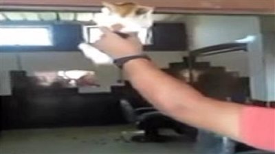 يعانى من إضطراب نفسي.. ضبط مرتكب واقعة فيديو تعذيب القطط