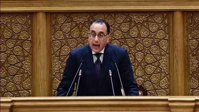 مجلس الوزراء: تكثيف جهود الدولة للتغلب على تحديات سوقى الدواء والأسمدة