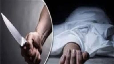 اخ ينهي حياة شقيقه بسلاح أبيض بأحدى قرى مركز اجا بالدقهليه