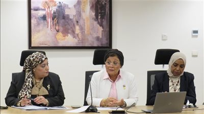  نائب وزير الصحة تعقد اجتماعا لمتابعة منظومة الصحة الإنجابية وتنمية الأسرة