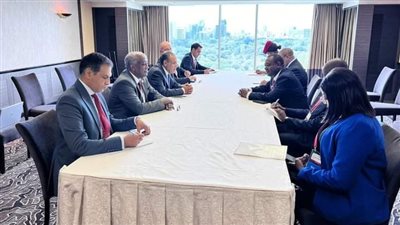 وزير الخارجية يلتقى مع وزير العلاقات الدولية والتعاون لناميبيا على هامش مؤتمر التيكاد