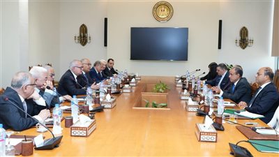وزير الخارجية والهجرة وشئون المصريين بالخارج يلتقى مع أعضاء المجلس المصري للشئون الخارجية