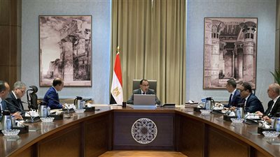 رئيس الوزراء يتابع جهود توفير احتياجات قطاع الكهرباء من المنتجات البترولية 