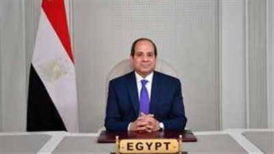 الرئيس السيسي: الدول النامية لم تتسبب فى الأزمات العالمية