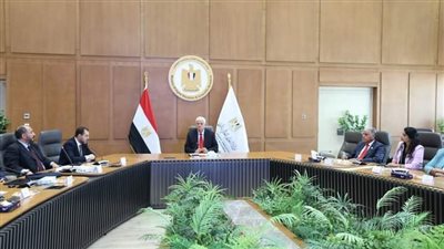 وزير التعليم العالي يرأس الاجتماع الأول للجنة العليا لمستشفيات ومراكز ووحدات الأورام الجامعية