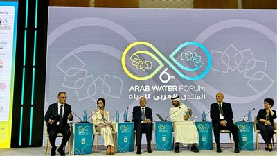 سويلم يشارك في الجلسة رفيعة المستوى 