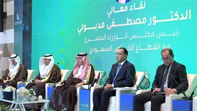 وزير الاستثمار: الدولة المصرية تمكنت من حل نحو 75% من مشاكل الاستثمار 