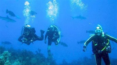 السياحة والآثار: العثور على 3 غواصين محترفين جرفهم التيار بمرسى علم