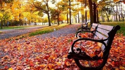 طقس خريفي.. تعرف على حالة الطقس خلال الساعات القادمة 