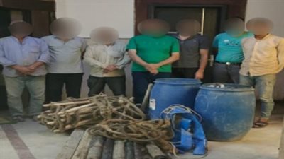 ضبط 7 أشخاص بتهمة التنقيب غير المشروع عن الآثار