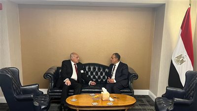 وزير الخارجية: نعمل على وقف التصعيد الإقليمي للحيلولة دون اندلاع حرب شاملة