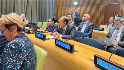 وزير الخارجية يشارك بالحوار التفاعلى لقمة المستقبل المعنى بتحول الحوكمة